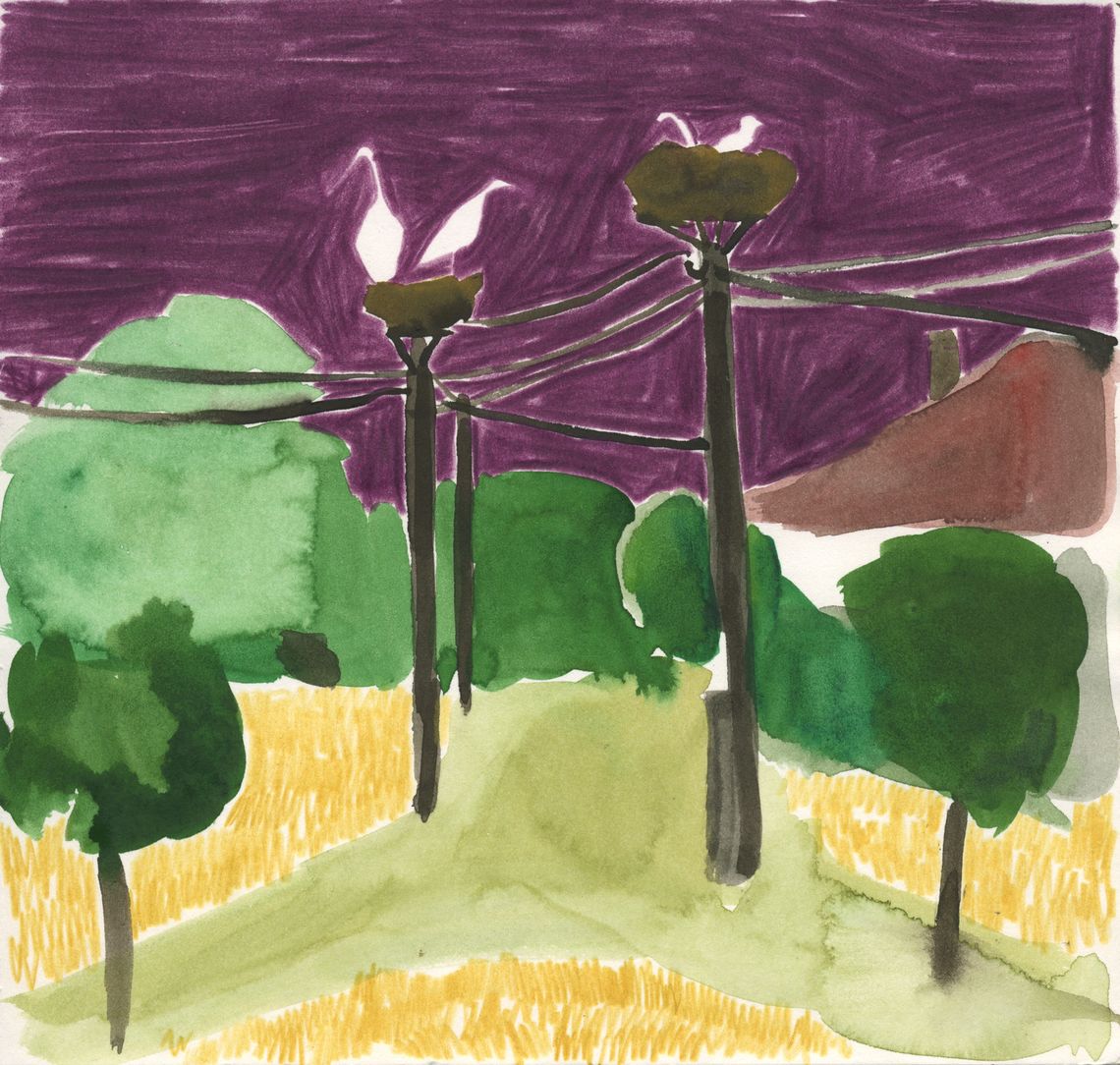 Storch (Bulgarien)