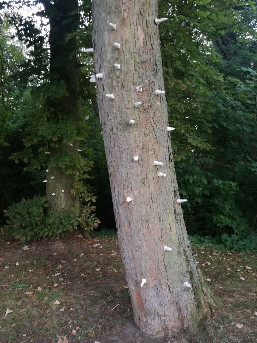 Suche nach Raum